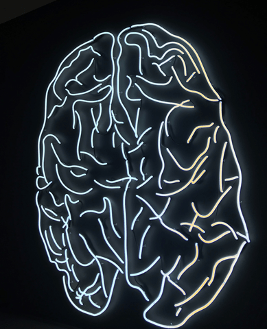 Adrian Chernyk 
LED Image of brain
Photo by Tayla Jeffs on Unsplash